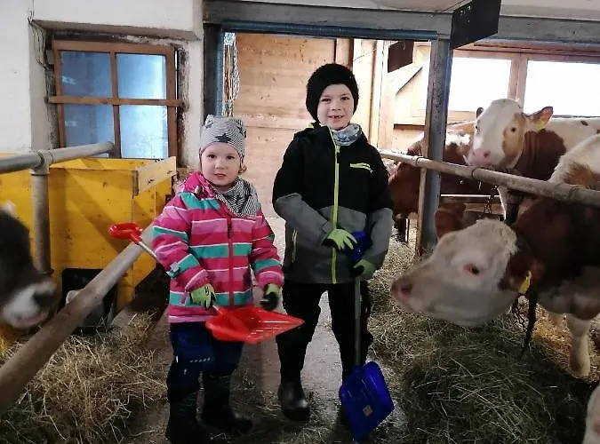 Apartment Stoanerhof