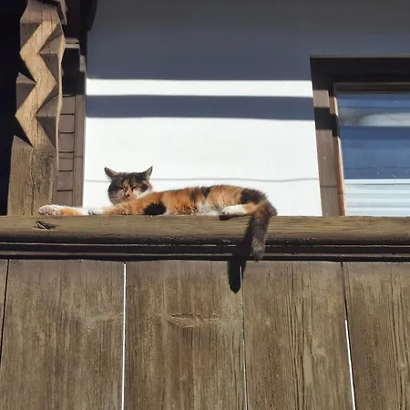 Апартаменты Stoanerhof *