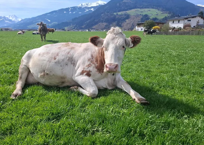Stoanerhof Appartement