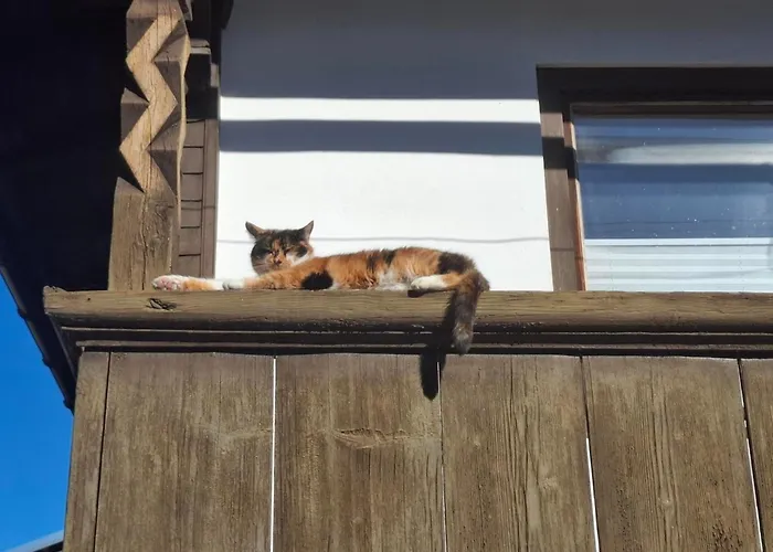 Appartement Stoanerhof *